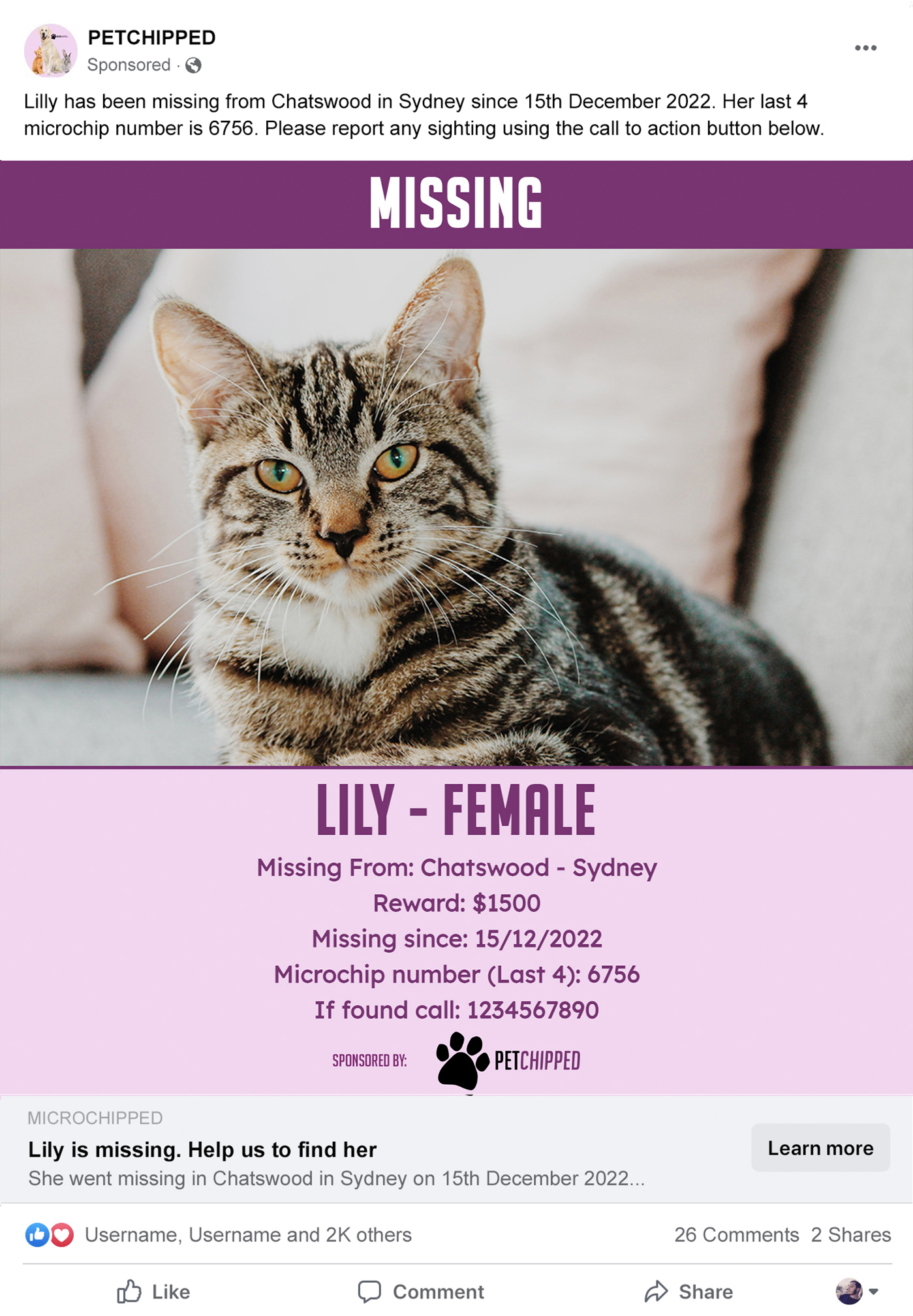 Petchipped Social Media Advert Overview